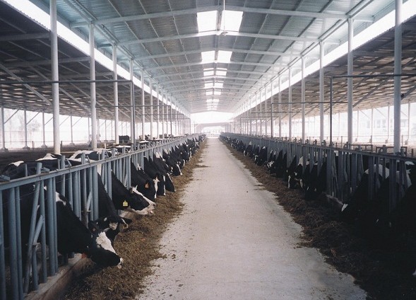 融创卫生级涡轮流量计助推大型奶牛场实现自动化